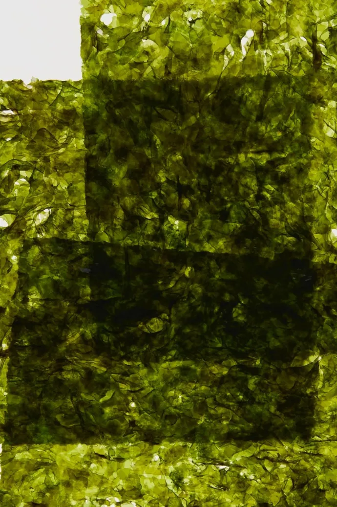 Abel - Eau De Parfum - Cyan Nori