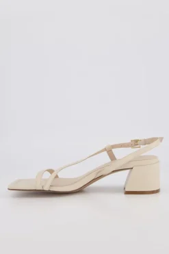 Bronwyn - Stella - Shell