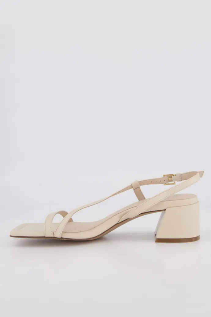 Bronwyn - Stella - Shell