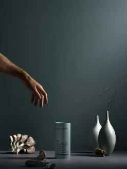 Mother Made - PM: Night Mushroom Supplement 220g